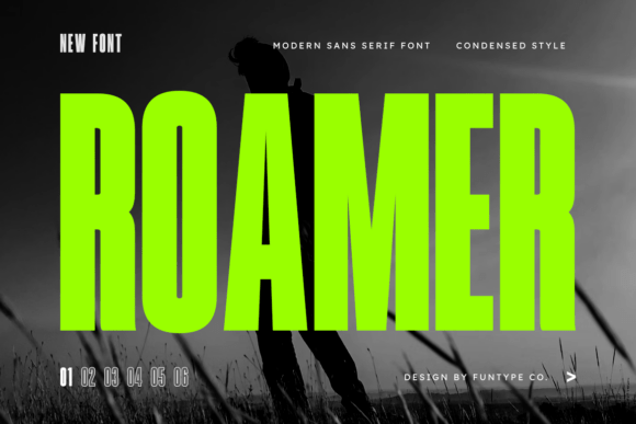 Roamer: The Bold Display Font for Modern Campaigns