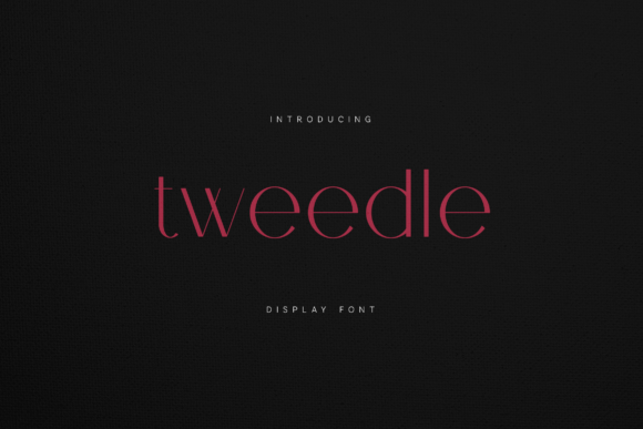 Tweedle Display: A Modern Serif Font for Branding